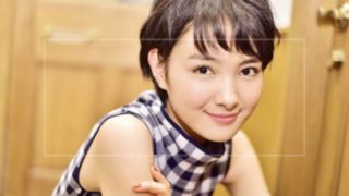 【画像】葵わかなに似てる女優は7人?国仲涼子や貫地谷しほりにそっくり?