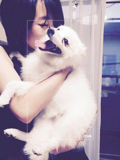 【画像】波瑠は自宅マンションで愛犬むくと暮らす！どんな部屋に住んでる？の画像3