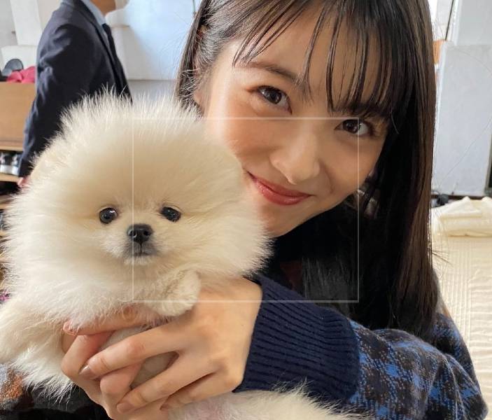 浜辺美波・弟は『駅伝』で第一走者に
