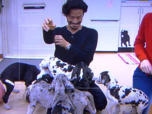 竹野内豊は性格がいい？②：動物好きで実は優しい