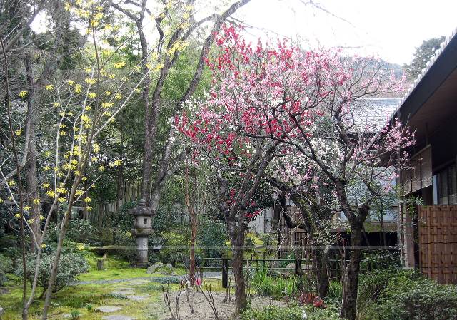 瀬戸内寂聴さんのお寺は京都・嵯峨野の『寂庵』の中