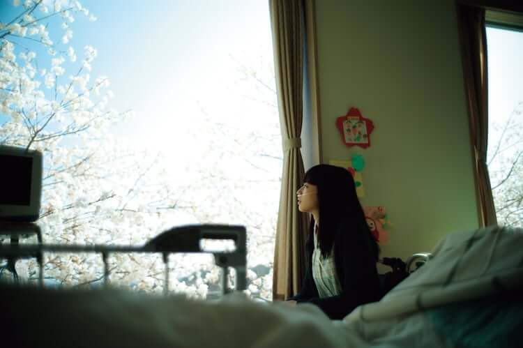 映画『余命10年』のワンシーン・病室から桜を眺める茉莉